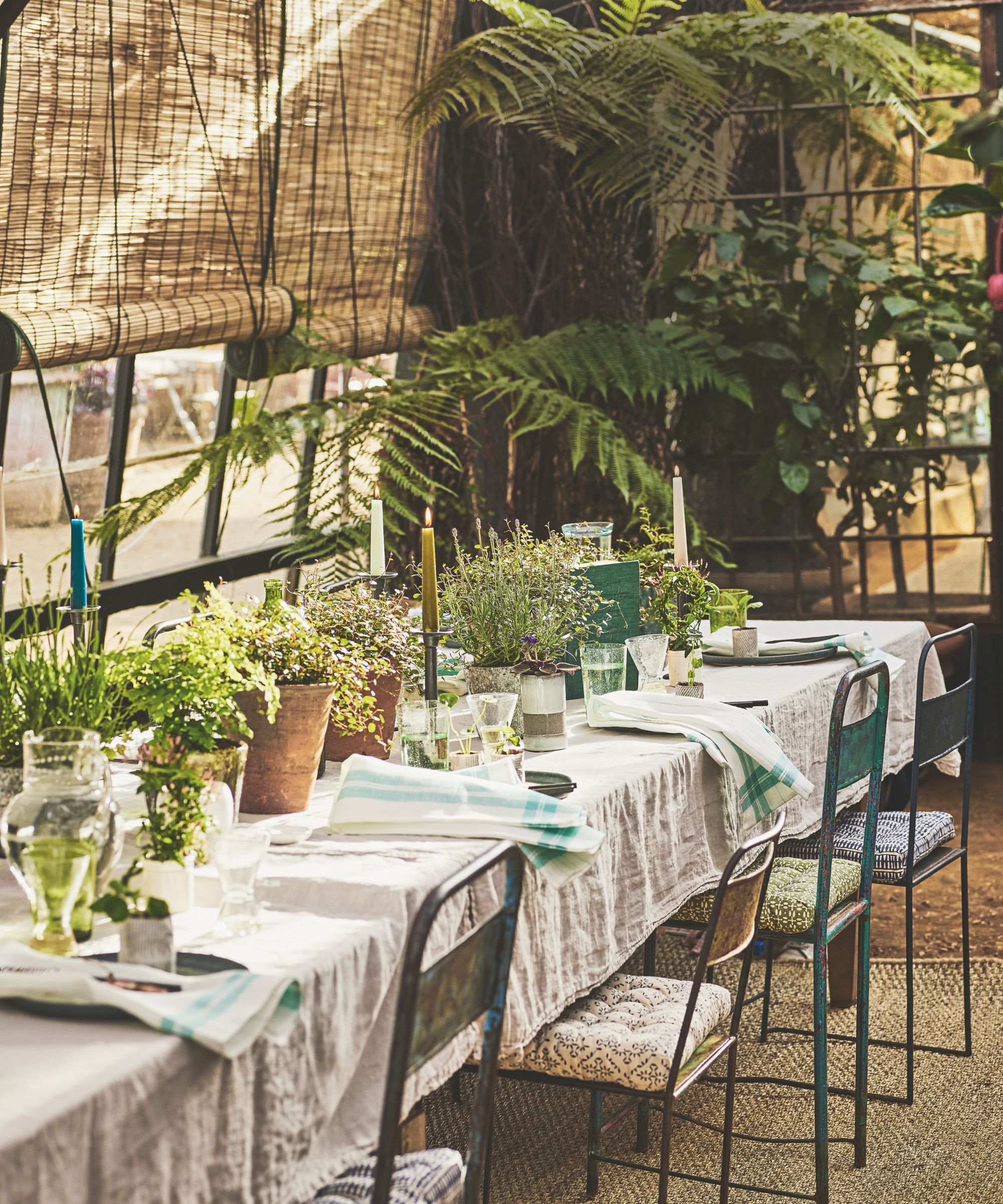Rustic greenhouse with a long table covered in a linen tablecloth and pots in terracotta planters, with metal chairs