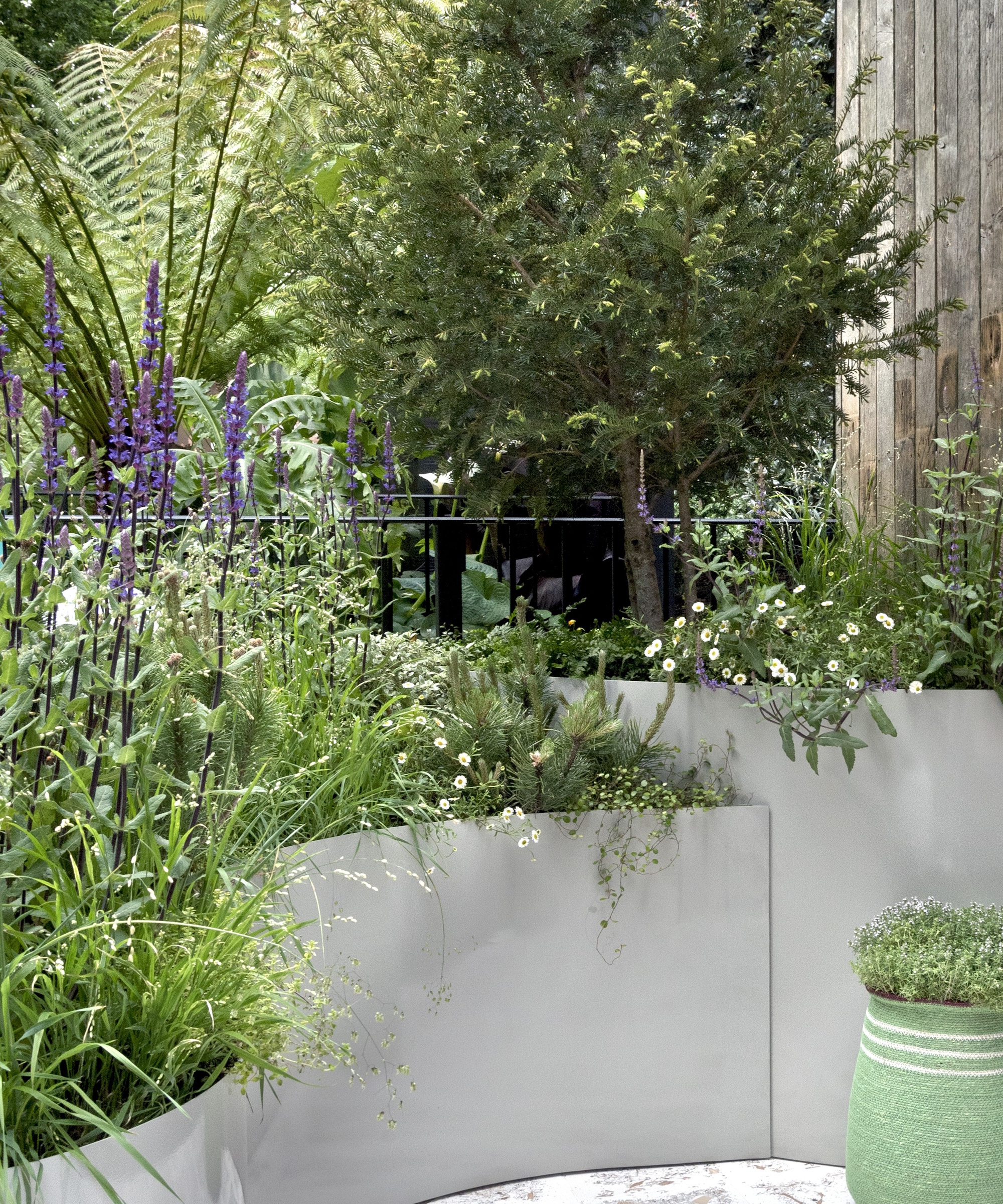 Metal planters on a small balcony, with flowering perennials and green ferns